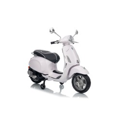 Vespa Primavera Elettrica...