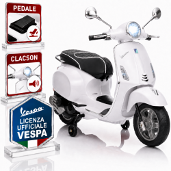 Vespa Primavera Elettrica...