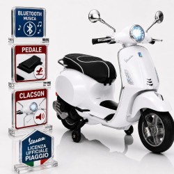 Vespa Primavera Elettrica...