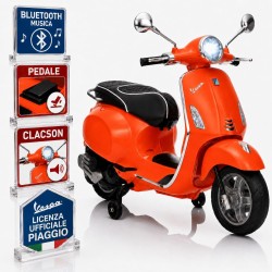 Vespa Primavera Elettrica...