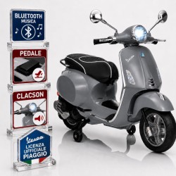Vespa Primavera Elettrica...